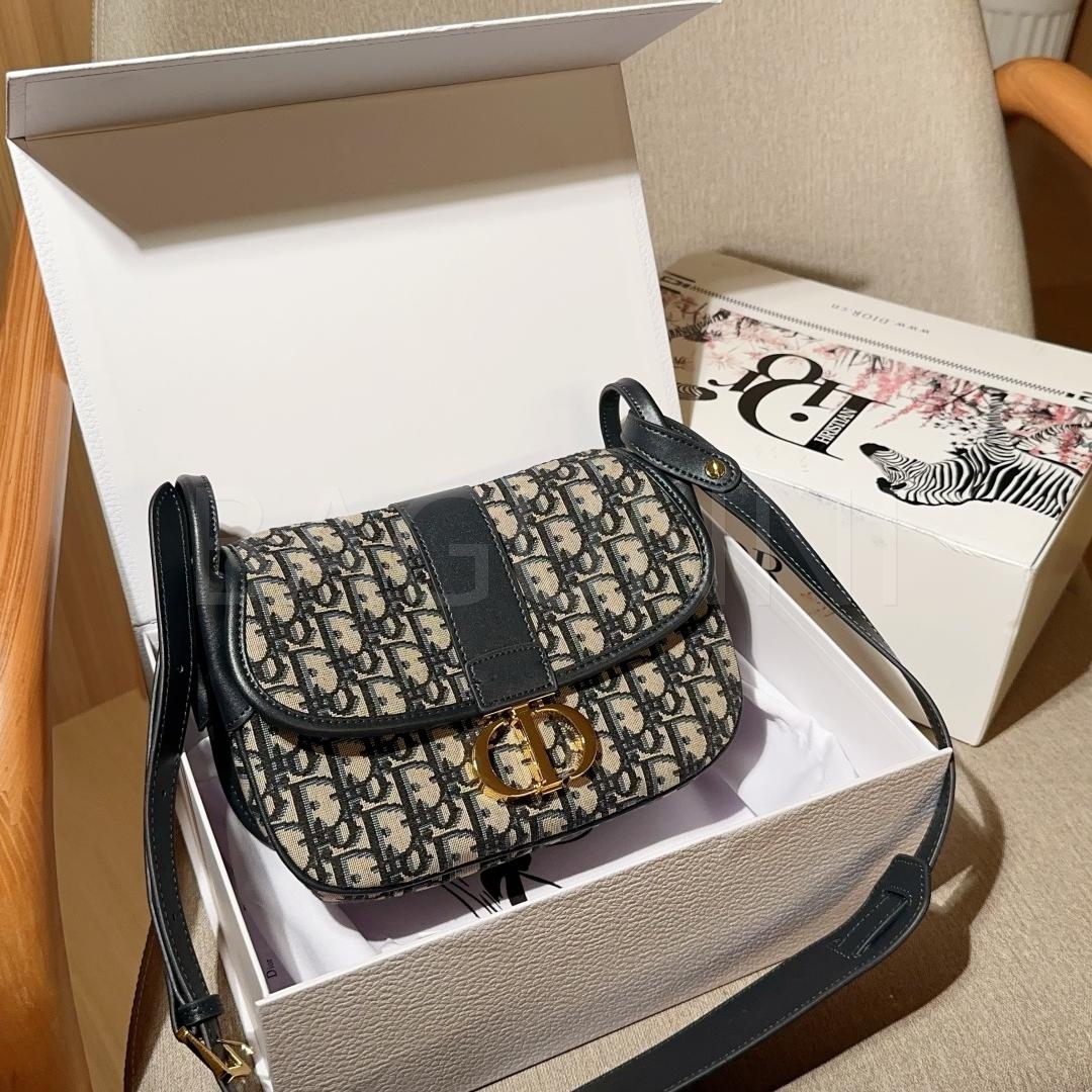 디올 몽테인 크로스백