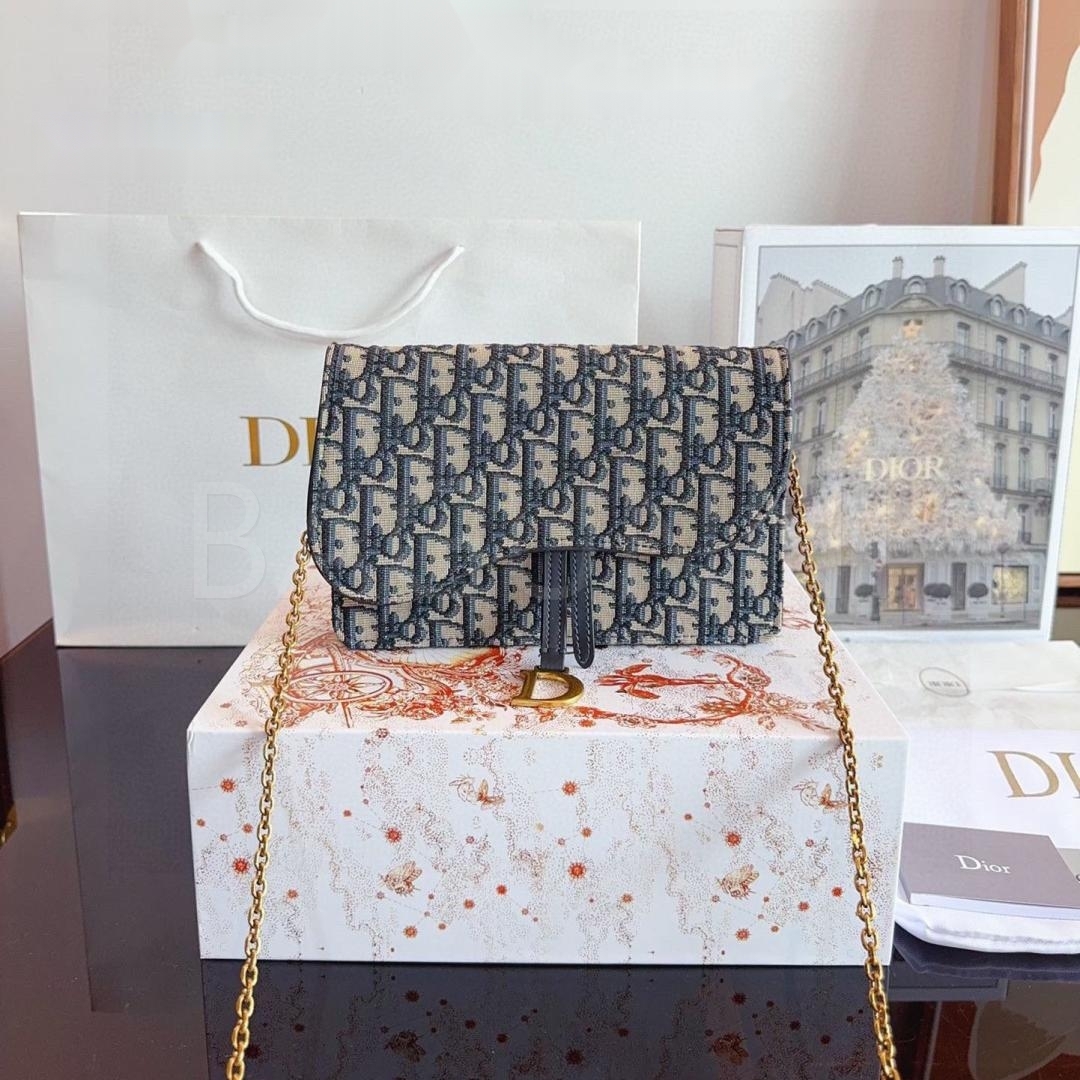디올 WOC 체인백
