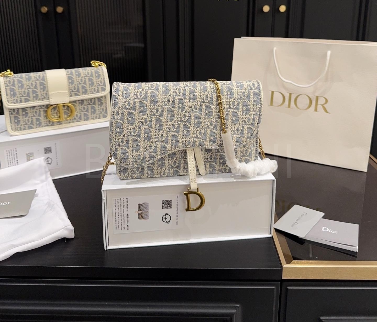 디올 WOC 체인백