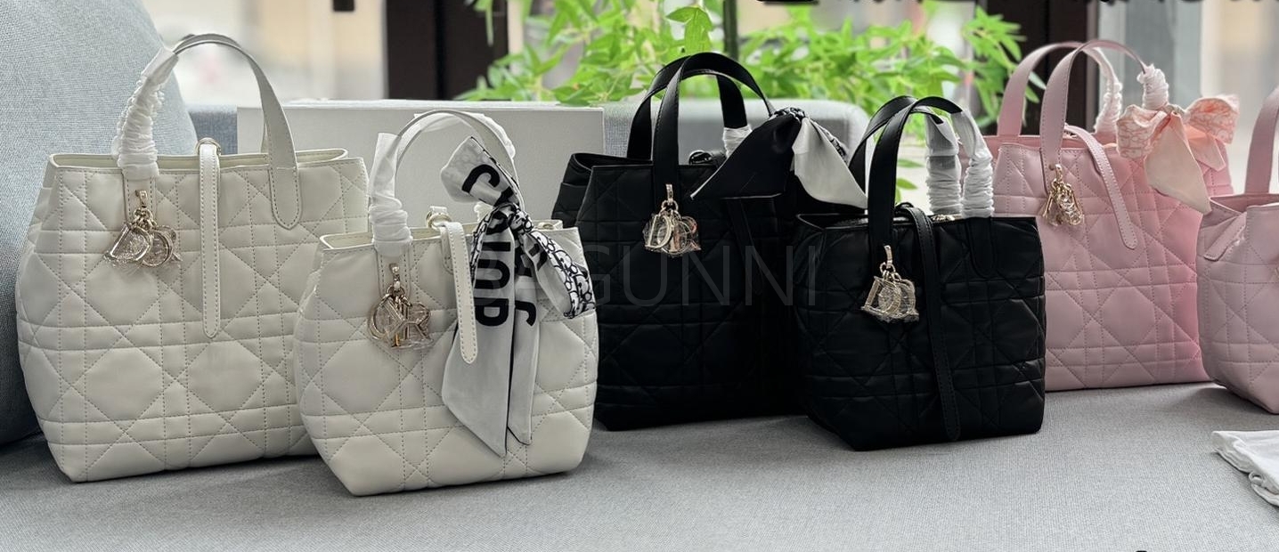 디올 투주르 토트백