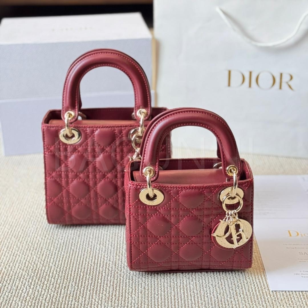 디올 미니 백