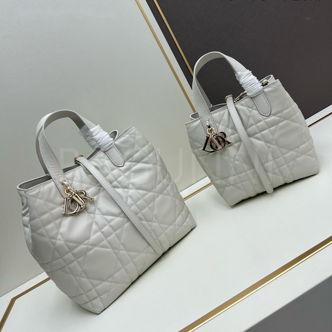 디올 레더 월렛백