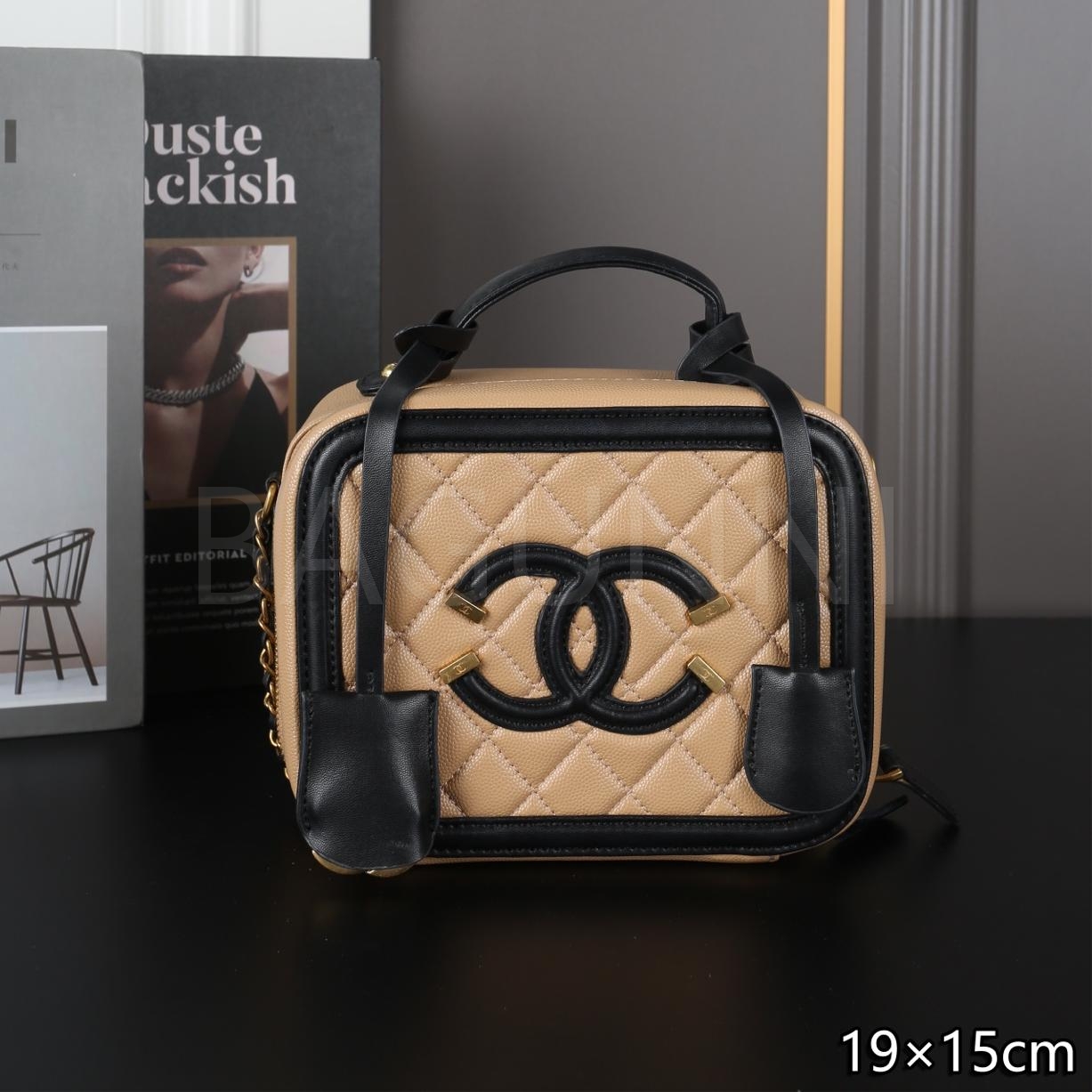 샤넬 카메라 케이스 백