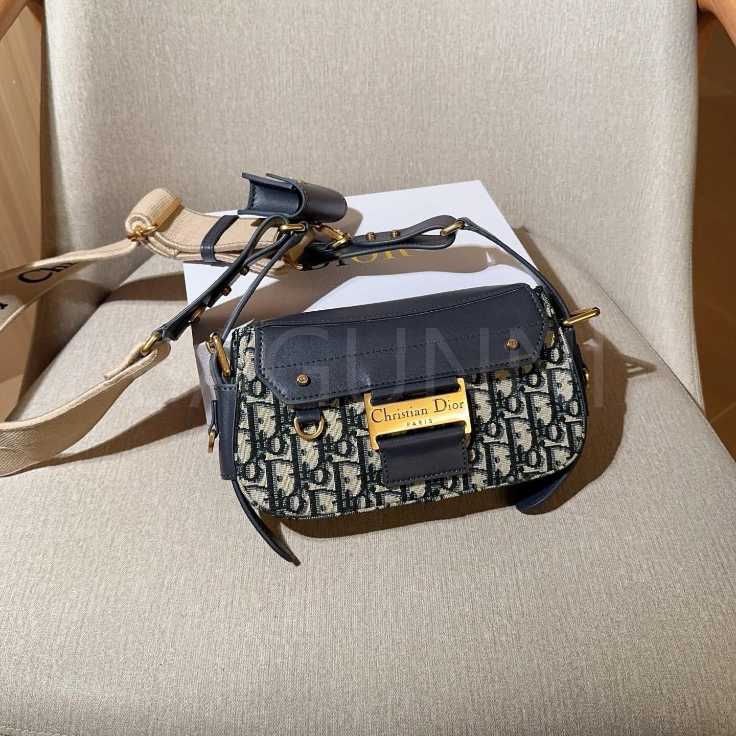 디올 오블리크 백