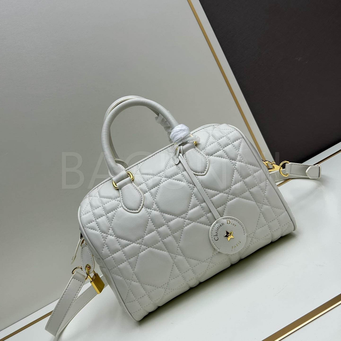 디올 그루브 토트백