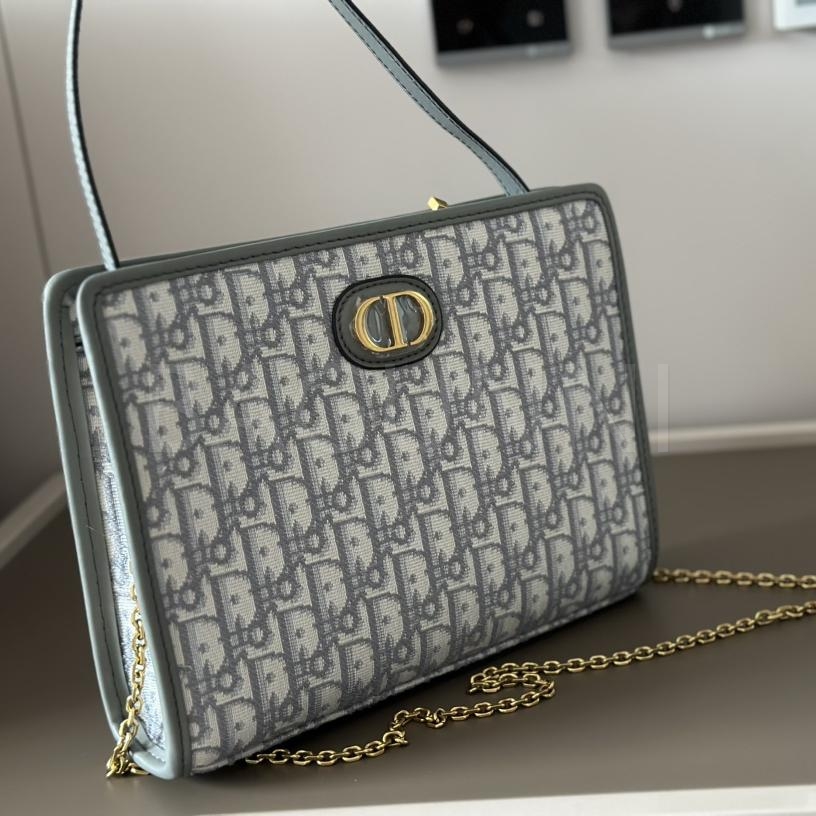 디올 오블리크 백