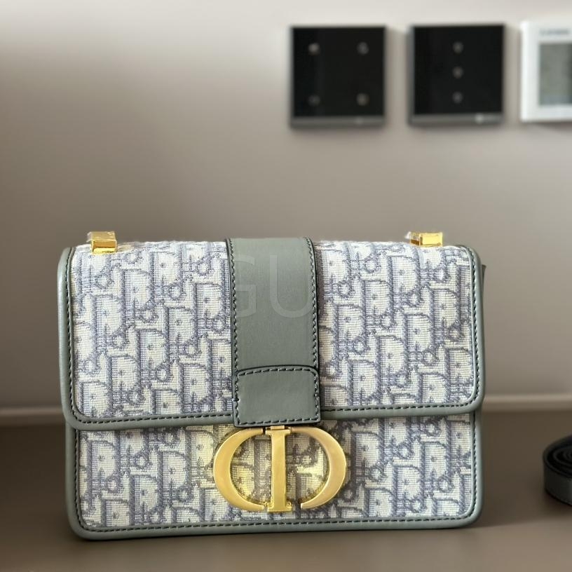 디올 몽테인 숄더백