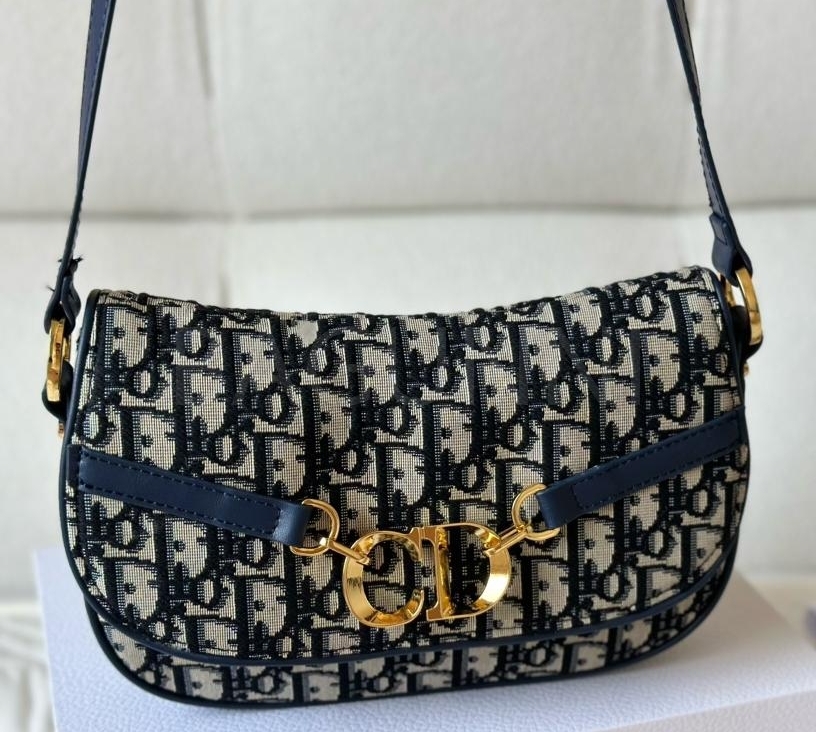 디올 비사쥬 새들백