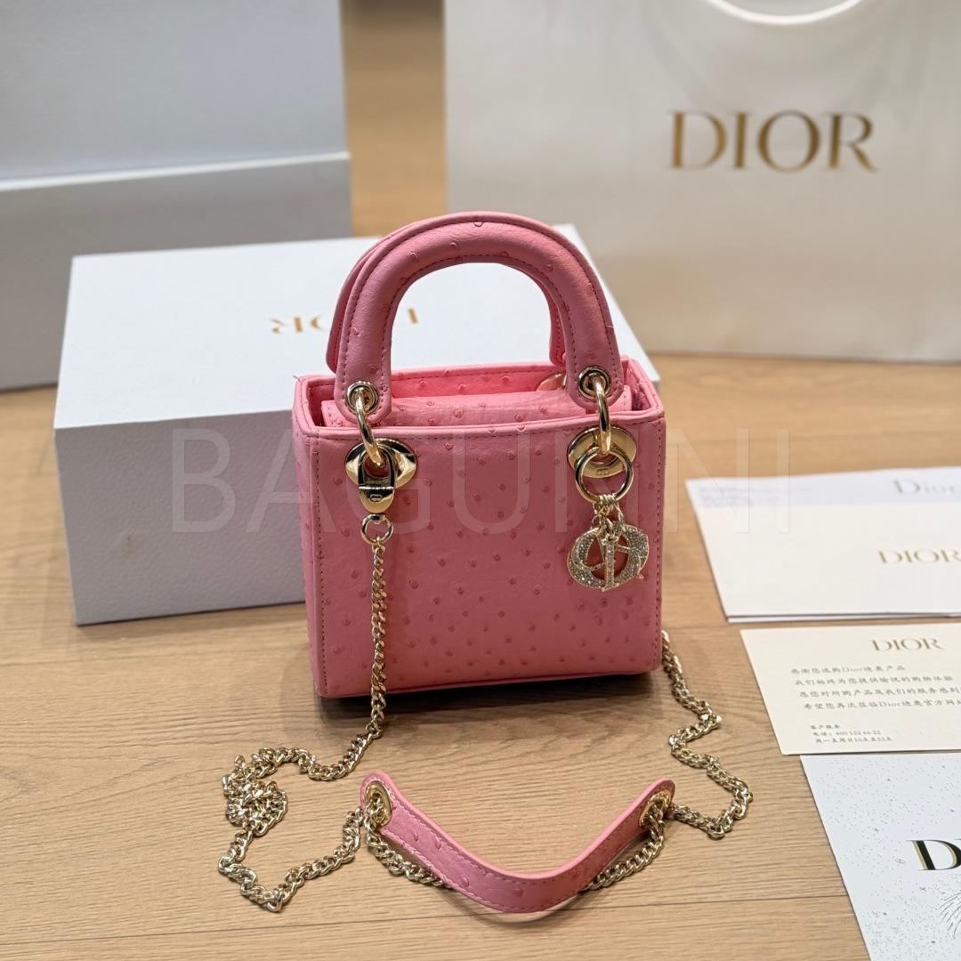 디올 레이디 디올 탑핸들백
