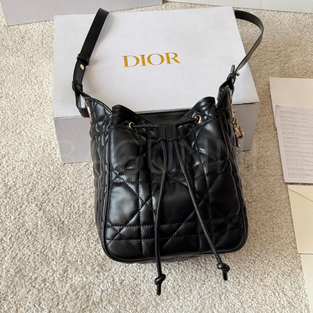 디올 까나쥬 버킷백