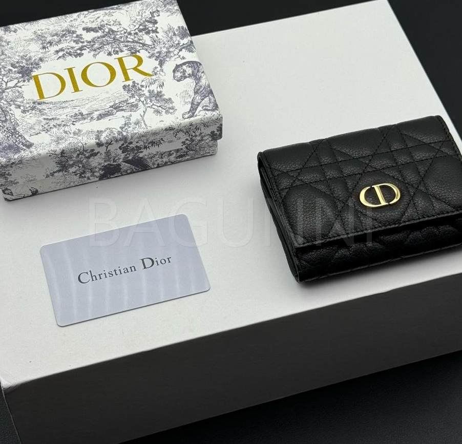 디올 카로 카드지갑