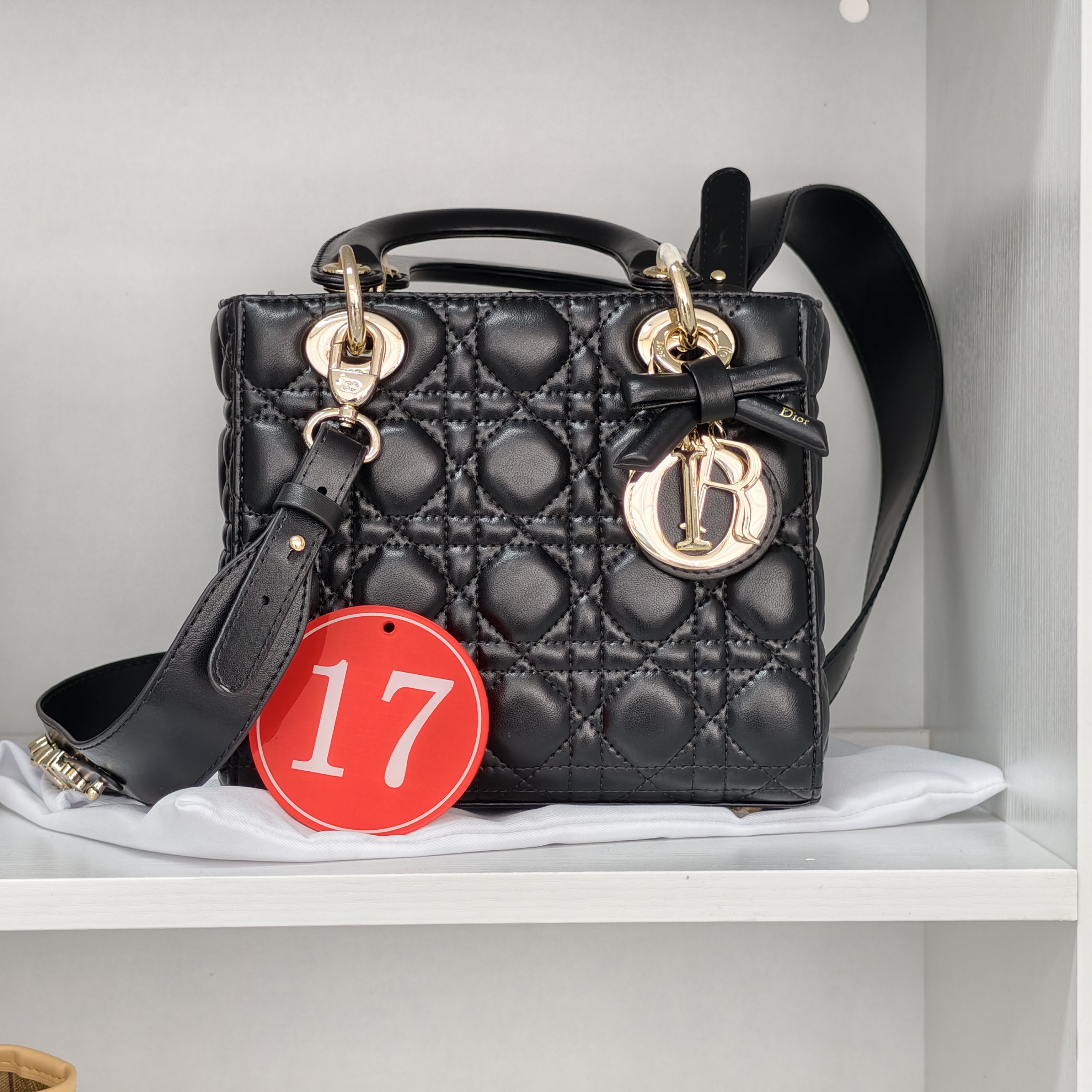 [live17] 레이디 디올(Lady Dior) 백